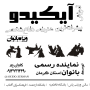 آموزش آیکیدو (هنر رزمی دفاع شخصی تخصصی) ویژه بانوان کرمان